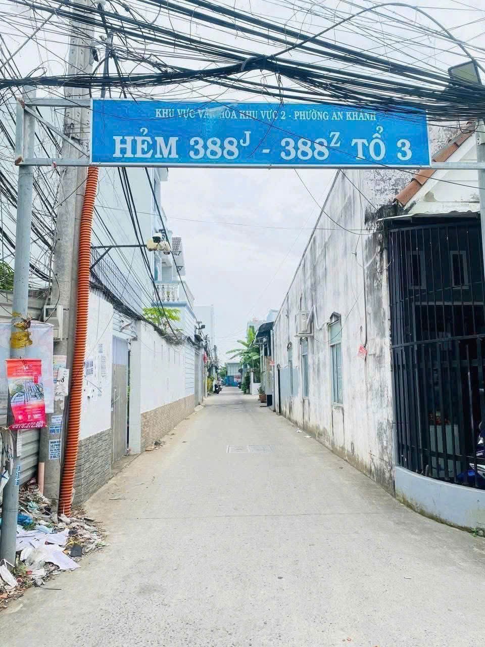 1000066696