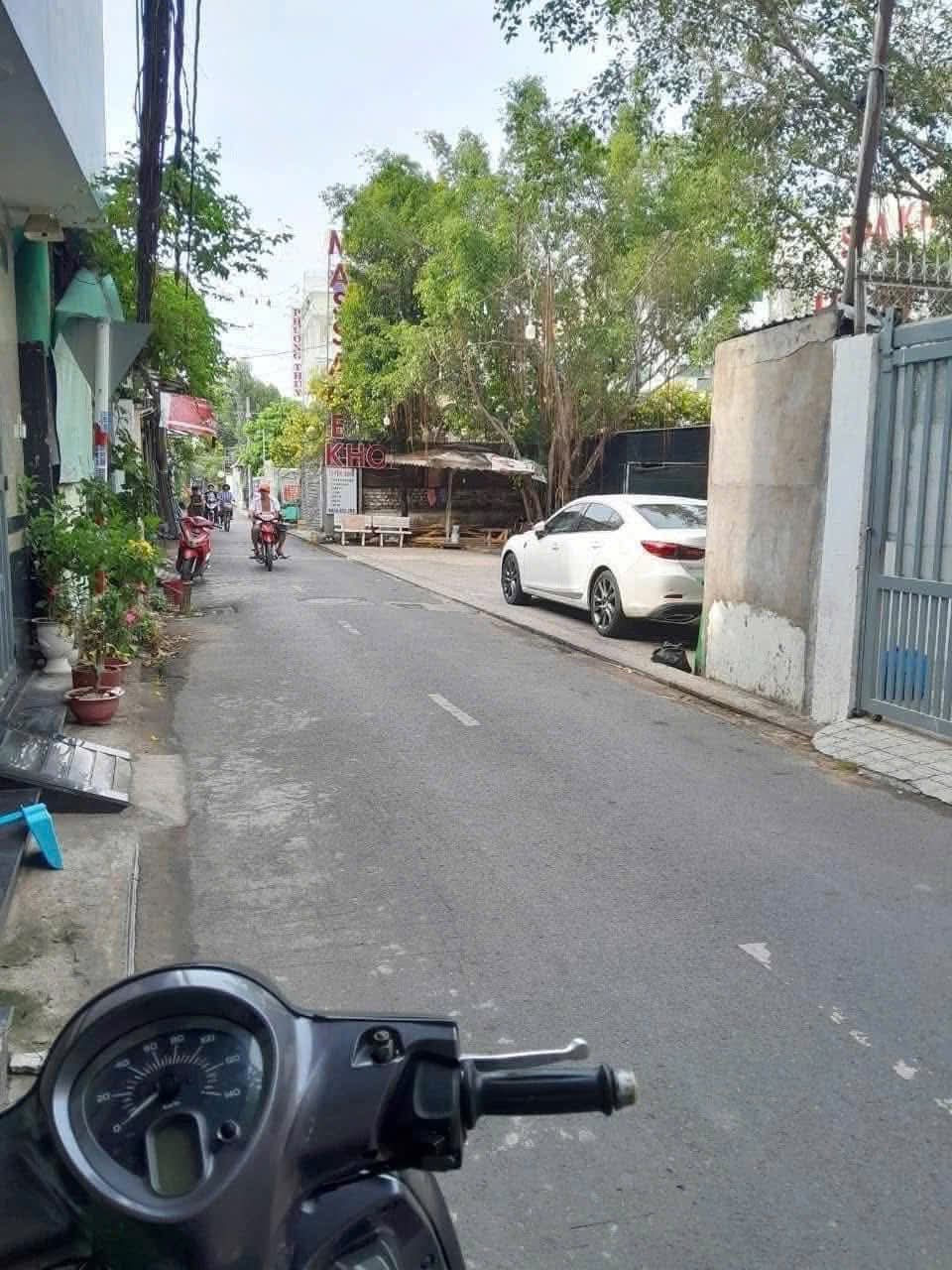 1000066736