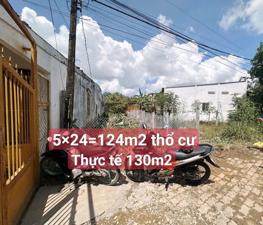 1000067518